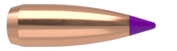 Nosler Ballistic Tip Kulor – 6mm 55 gr (250 st)