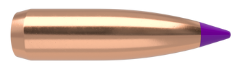 Nosler Ballistic Tip Kulor – 6mm 80 gr (100 st)