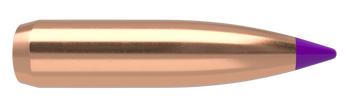 Nosler Ballistic Tip Kulor – 6mm 95 gr (50 st)