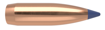 Nosler Ballistic Tip Kulor – 8mm 180 gr (50 st)