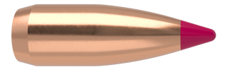 Nosler Ballistic Tip Kulor – 20 Caliber 32 gr (250 st)