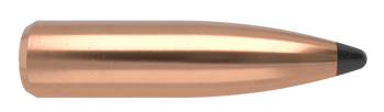 Nosler Partition Kulor – 30 Caliber 200 gr (50 st)