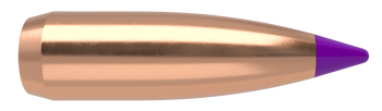 Nosler Ballistic Tip Kulor – 6mm 70 gr (250 st)