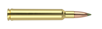 Nosler Expansion Tip – 300 Wby Mag 180 gr (20 st)