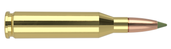 Nosler Expansion Tip – 243 Win 90 gr (20 st)