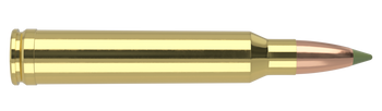 Nosler Expansion Tip – 300 Win Mag 180 gr (20 st)