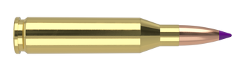 Nosler Ballistic Tip – 243 Win 70 gr (20 st)