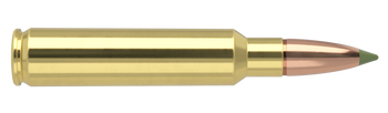 Nosler Expansion Tip – 33 Nosler 225 gr (20 st)