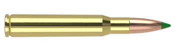 Nosler Ballistic Tip – 30 Caliber 165 gr (20 st)