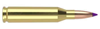 Nosler Ballistic Tip – 243 Win 90 gr (20 st)