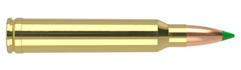 Nosler Ballistic Tip – 300 Win Mag 180 gr (20 st)