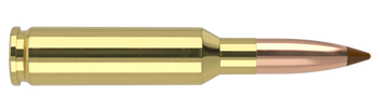 Nosler Ballistic Tip – 6.5 Creedmoor 140 gr (20 st)