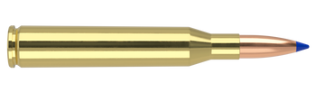 Nosler Ballistic Tip – 25 Caliber 115 gr (20 st)