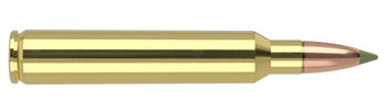 Nosler Expansion Tip – 300 RUM 180 gr (20 st)
