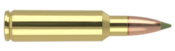 Nosler Expansion Tip – 325 WSM 180 gr (20 st)
