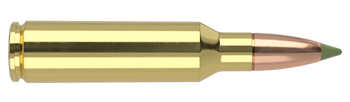 Nosler Expansion Tip – 300 WSM 180 gr (20 st)