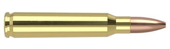 Nosler Varmageddon – 223 Rem 62 gr (20 st)