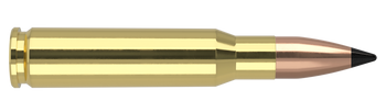 Nosler Varmageddon – 308 Win 110 gr (20 st)