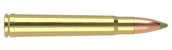 Nosler Expansion Tip – 375 H&H 260 gr (20 st)