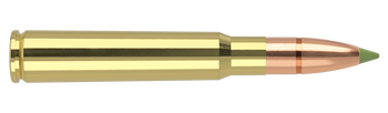 Nosler Expansion Tip – 8x57 JS 180 gr (20 st)