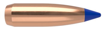 Nosler Ballistic Tip Kulor – 25 Caliber 85 gr (100 st)