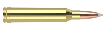 Nosler Trophy Grade – 7mm Rem Mag 160 gr AccuBond (20 st)