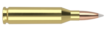 Nosler Trophy Grade – 243 Win 90 gr AccuBond (20 st)