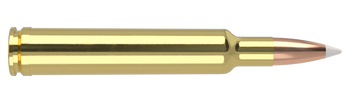 Nosler Trophy Grade – 300 Wby Mag 180 gr AccuBond (20 st)