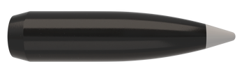 Nosler Ballistic Silvertip Kulor – 30 Caliber 180 gr (50 st)