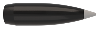 Nosler Ballistic Silvertip Kulor – 45 Caliber 300 gr (50 st)