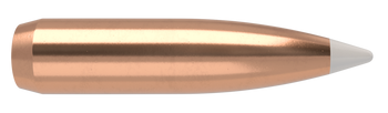 Nosler AccuBond Kulor – 25 Caliber 110 gr (50 st)