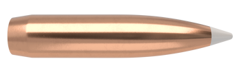 Nosler AccuBond Kulor – 338 Caliber 300 gr (50 st)