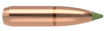 Nosler E-Tip Kulor – 30 Caliber 180 gr (50 st)