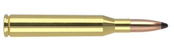 Nosler Trophy Grade – 25 Caliber 100 gr Partition (20 st)