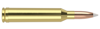 Nosler Trophy Grade – 264 Win Mag 130 gr AccuBond (20 st)