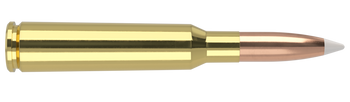 Nosler Trophy Grade – 6.5x55 SE 140 gr AccuBond (20 st)