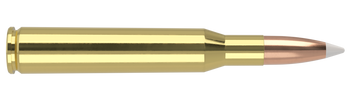Nosler Trophy Grade – 270 Win 130 gr AccuBond (20 st)
