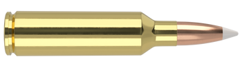 Nosler Trophy Grade – 270 WSM 140 gr AccuBond (20 st)