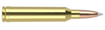 Nosler Trophy Grade – 7mm Rem Mag 140 gr AccuBond (20 st)