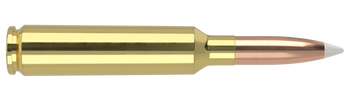 Nosler Trophy Grade – 6.5mm 140 gr AccuBond (20 st)