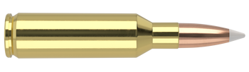 Nosler Trophy Grade – 7mm SAUM 160 gr AccuBond (20 st)