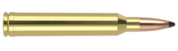 Nosler Trophy Grade – 7mm STW 140 gr Partition (20 st)