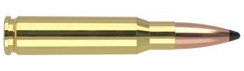 Nosler Trophy Grade – 308 Win 165 gr Partition (20 st)