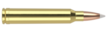 Nosler Trophy Grade – 300 Win Mag 180 gr AccuBond (20 st)
