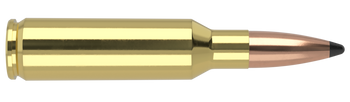 Nosler Trophy Grade – 300 SAUM 165 gr Partition (20 st)