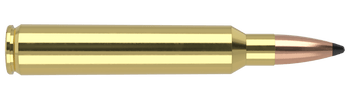 Nosler Trophy Grade – 300 RUM 165 gr Partition (20 st)