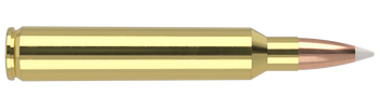 Nosler Trophy Grade – 300 RUM 180 gr AccuBond (20 st)