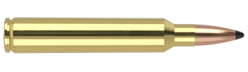 Nosler Trophy Grade – 300 RUM 180 gr Partition (20 st)
