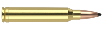 Nosler Trophy Grade – 300 Win Mag 200 gr Partition (20 st)