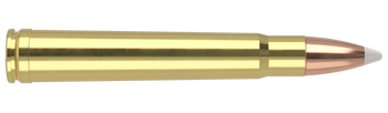 Nosler Trophy Grade – 375 H&H 300 gr AccuBond (20 st)